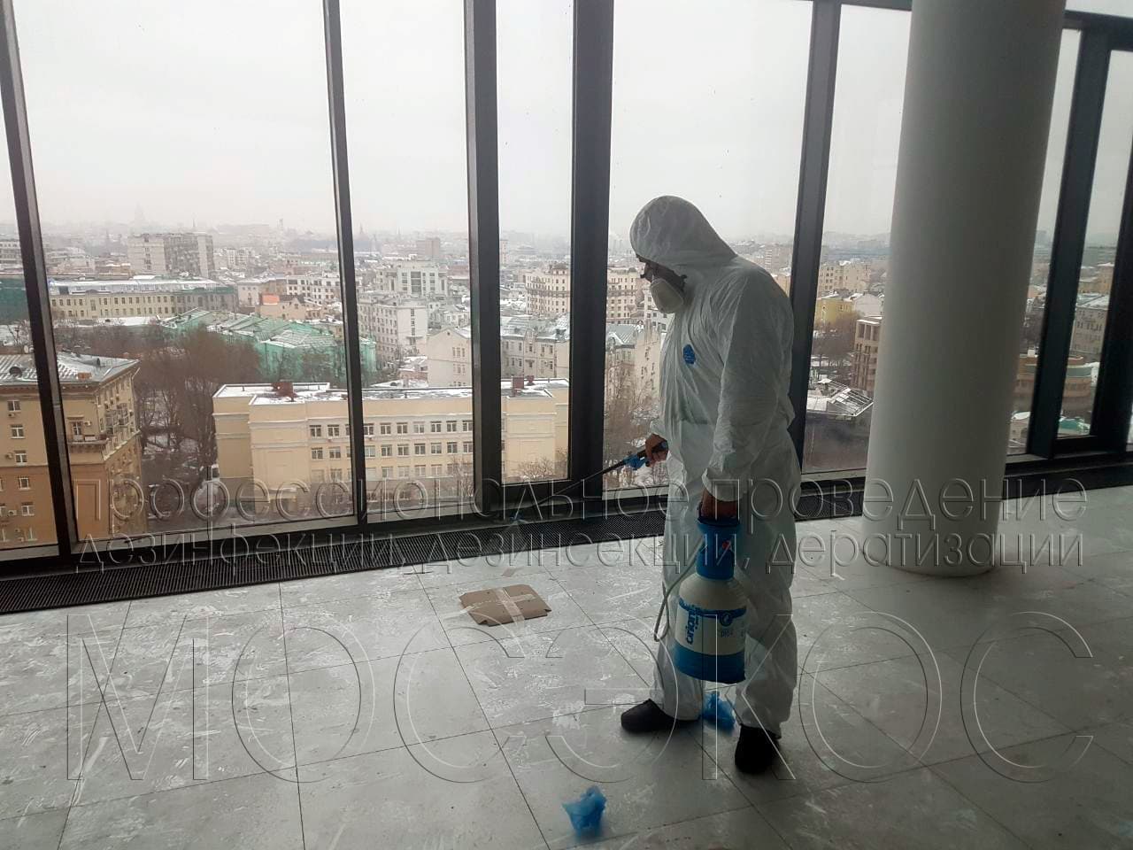 Пест-контроль (Pest Control) в Одинцово